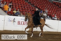 10buck_6991 proof
