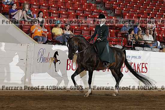 Proof 10buck_6993