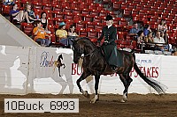 10buck_6993 proof