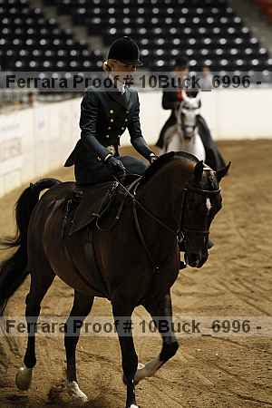 Proof 10buck_6996
