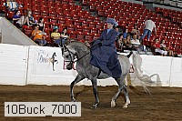 10buck_7000 proof