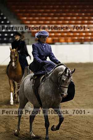 Proof 10buck_7001