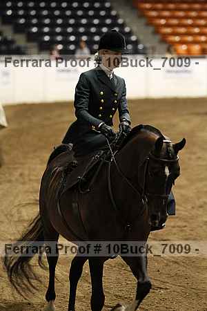 Proof 10buck_7009