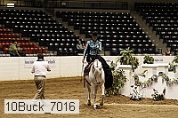 10buck_7016 proof