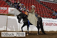 10buck_7018 proof