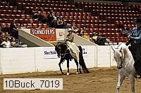 10buck_7019 proof