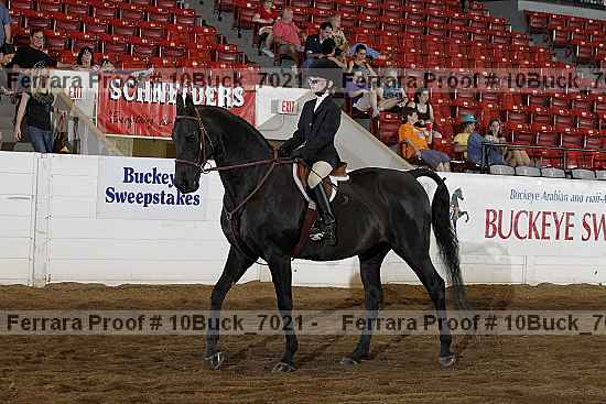 Proof 10buck_7021