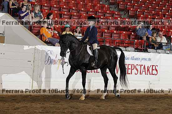 Proof 10buck_7028
