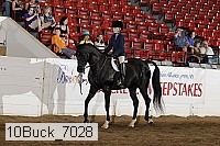 10buck_7028 proof