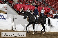 10buck_7032 proof