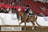 10buck_7033 proof