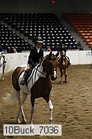 10buck_7036 proof