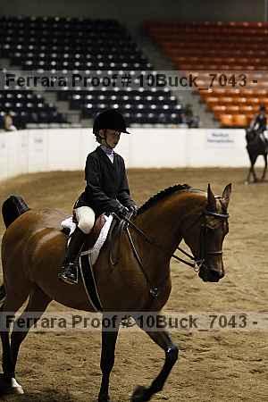 Proof 10buck_7043