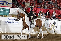10buck_7044 proof
