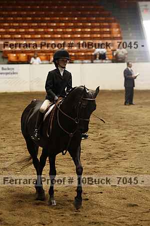 Proof 10buck_7045