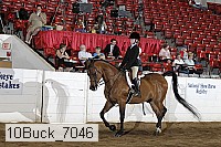 10buck_7046 proof