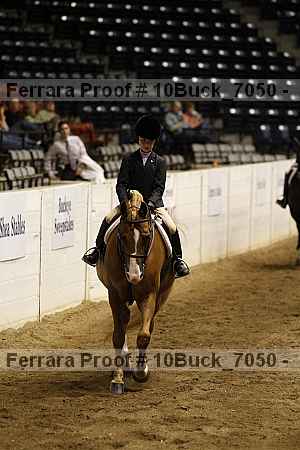 Proof 10buck_7050