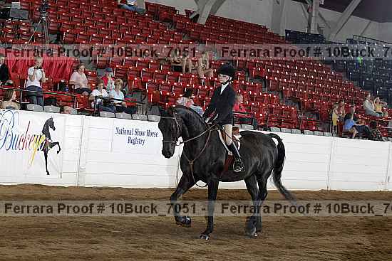Proof 10buck_7051