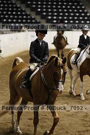 Proof 10buck_7052