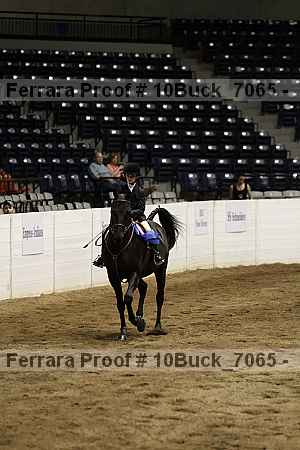 Proof 10buck_7065