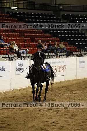 Proof 10buck_7066
