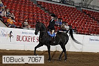 10buck_7067 proof