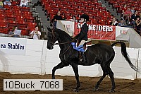 10buck_7068 proof