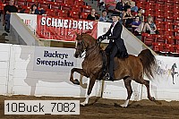 10buck_7082 proof