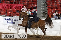 10buck_7083 proof