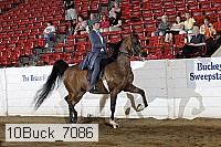 10buck_7086 proof