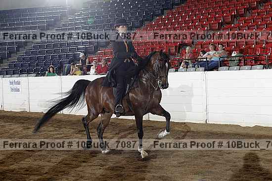 Proof 10buck_7087