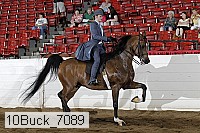10buck_7089 proof