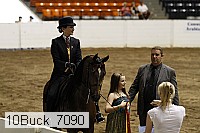 10buck_7090 proof