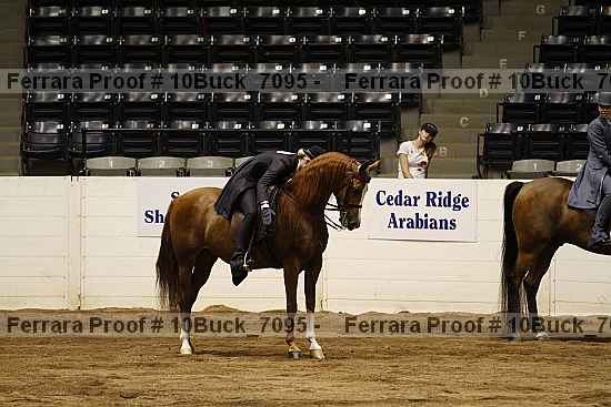 Proof 10buck_7095