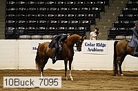 10buck_7095 proof