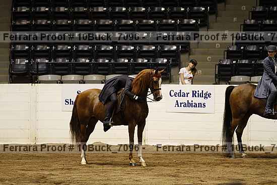 Proof 10buck_7096
