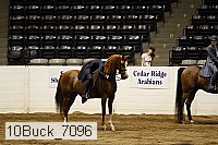 10buck_7096 proof