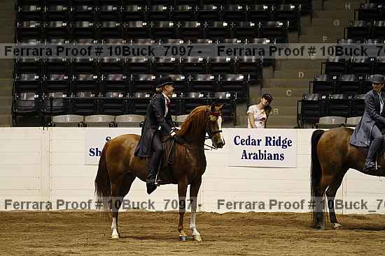 Proof 10buck_7097
