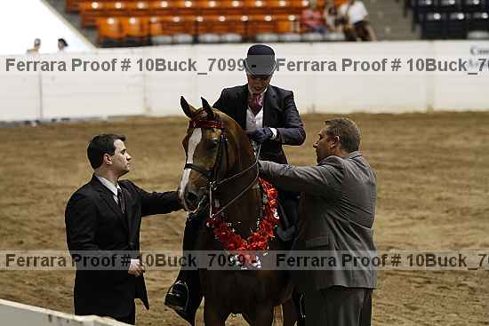 Proof 10buck_7099