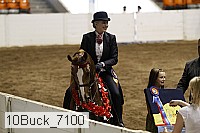 10buck_7100 proof