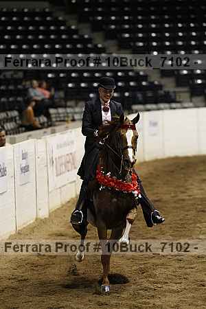 Proof 10buck_7102