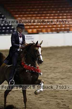 Proof 10buck_7103