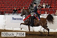 10buck_7104 proof