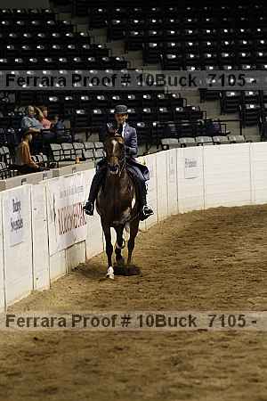 Proof 10buck_7105