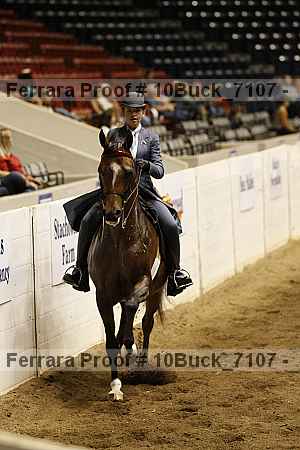 Proof 10buck_7107