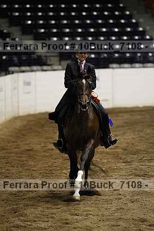 Proof 10buck_7108