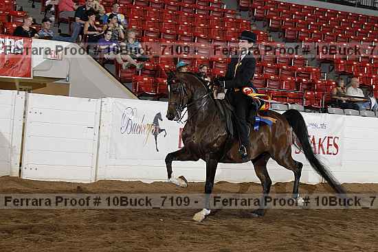 Proof 10buck_7109
