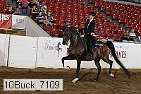 10buck_7109 proof