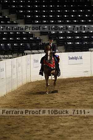 Proof 10buck_7111