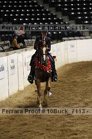 Proof 10buck_7113
